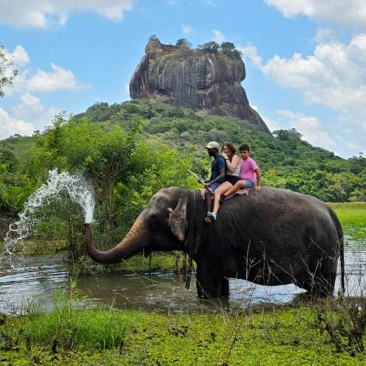 1. sigiriya elephant safari