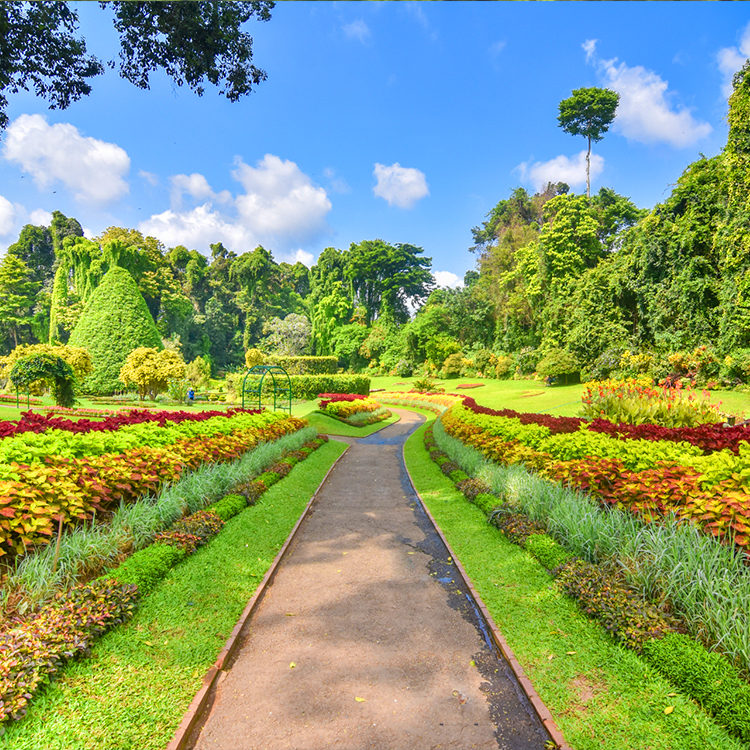 3. royal botanical garden peradeniya