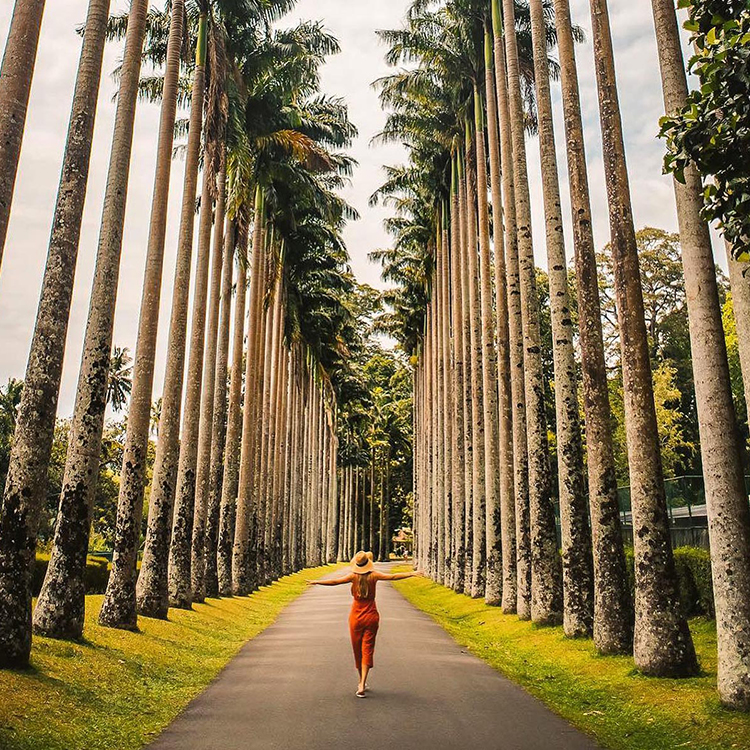 3. royal botanical garden preadeniya